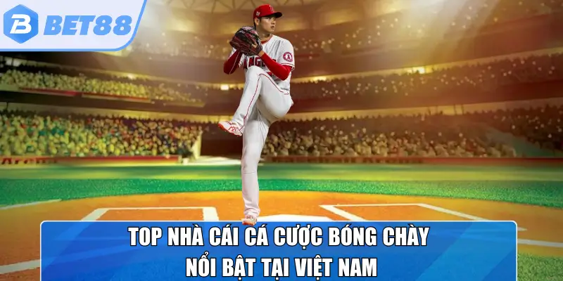 Top nhà cái cá cược bóng chày nổi bật tại Việt Nam